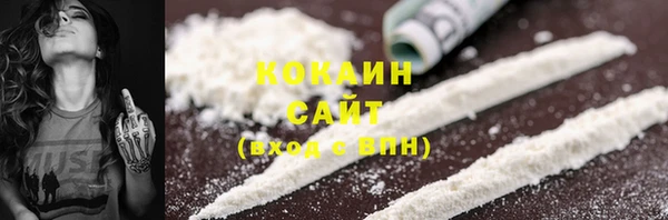 тгк Абаза