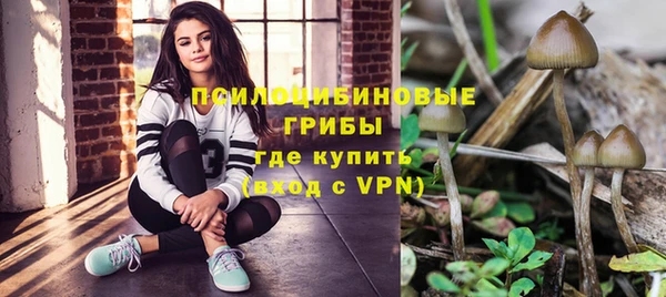 a pvp Абинск